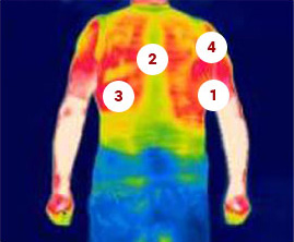 Winter back heat map.